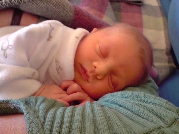 Everly5