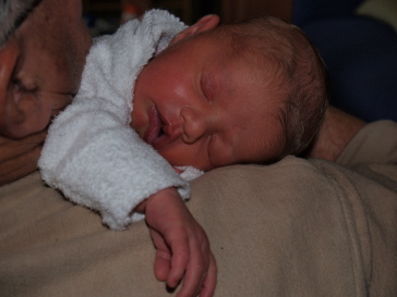 Everly6