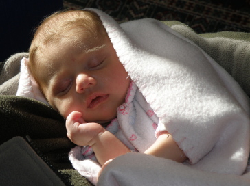 Everly7