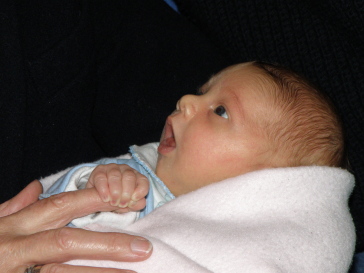 Everly8