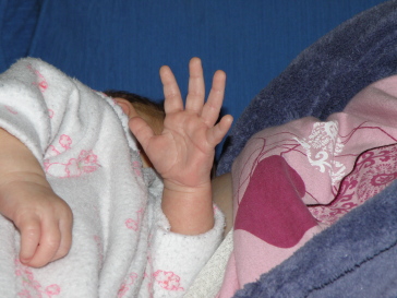 Everly9