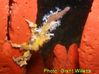 Mudgee High Marine Studies 2007