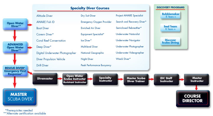 The PADI Flow Chart of Courses