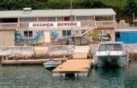 Beluga Dive Centre